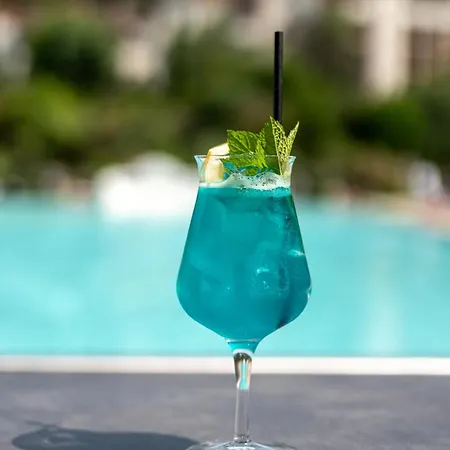 Hotel Metropole &